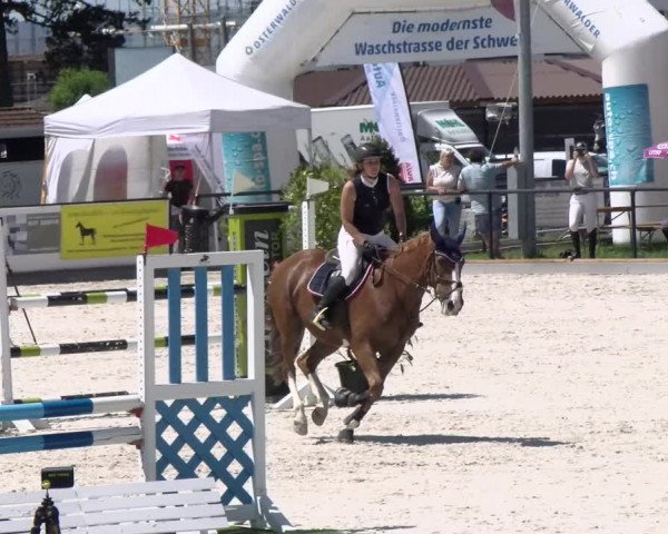 Reitturnier Gossau 2022