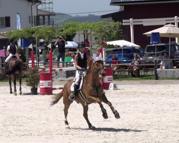 Reitturnier Gossau 2022