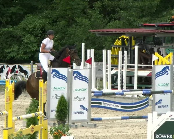 Reitturnier Maienfeld 2022