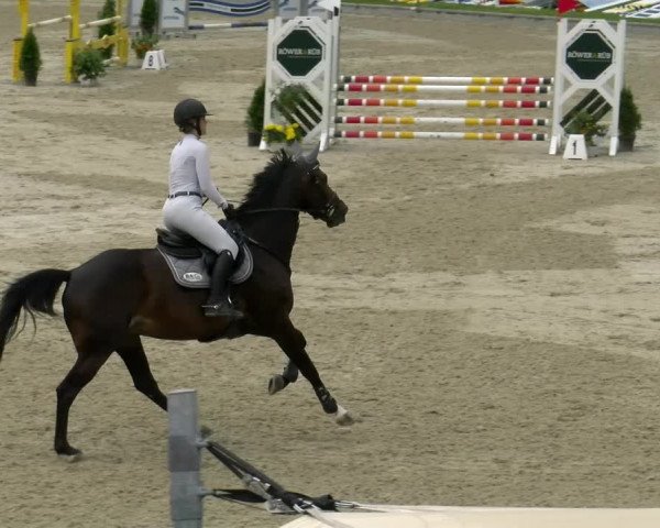Reitturnier Maienfeld 2022