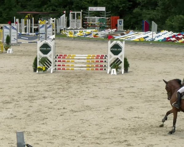 Reitturnier Maienfeld 2022
