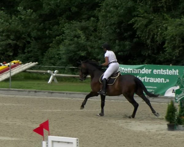 Reitturnier Maienfeld 2022