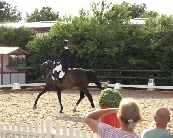 Reitturnier Schillerslage 2022