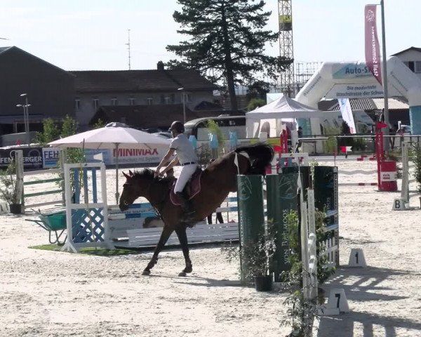 Reitturnier Gossau 2022