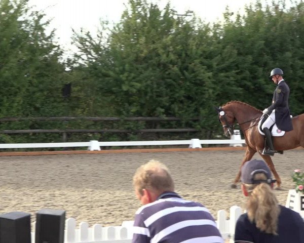 Reitturnier Schillerslage 2022