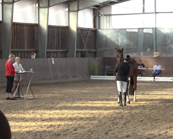Reitturnier Schillerslage 2022