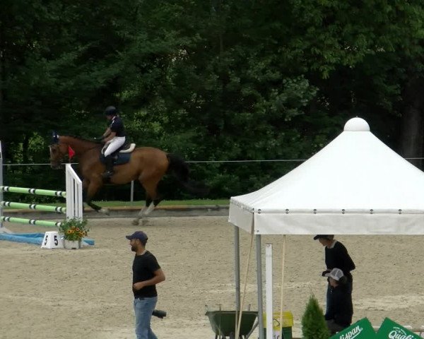 Reitturnier Maienfeld 2022