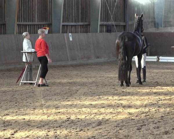 Reitturnier Schillerslage 2022