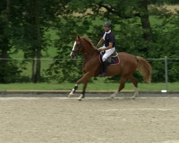 Reitturnier Maienfeld 2022