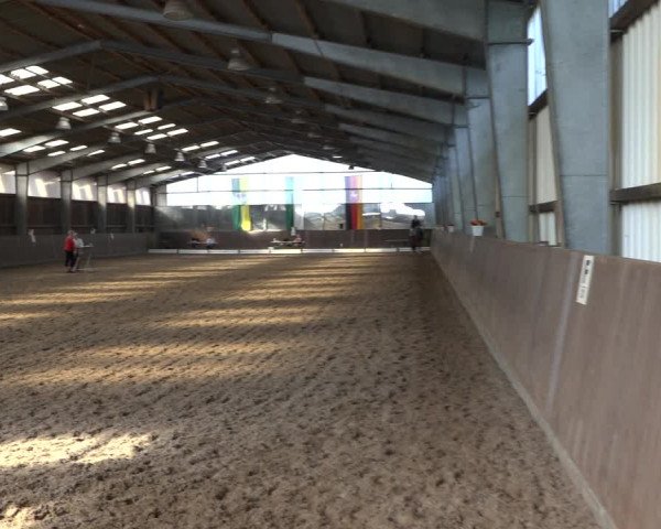 Reitturnier Schillerslage 2022