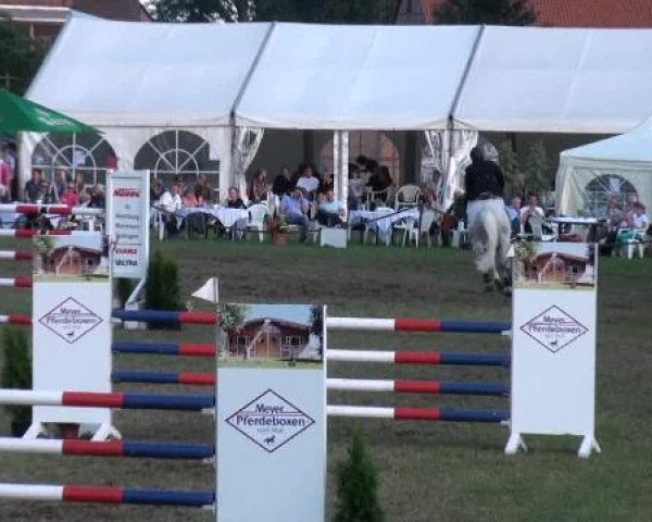 stallion Demet - Apokalipsis (Oldenburg, 2003, from All in One)