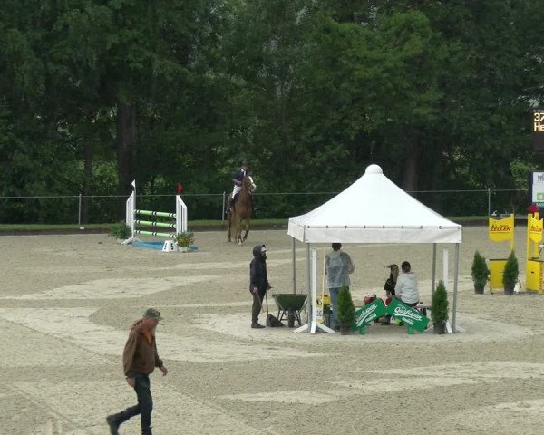 Reitturnier Maienfeld 2022