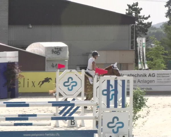 Reitturnier Gossau 2022
