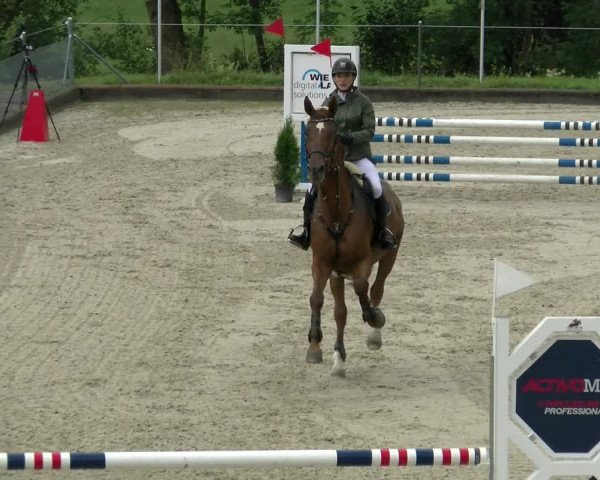 Reitturnier Maienfeld 2022