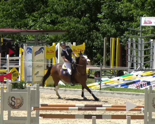 Reitturnier Maienfeld 2022
