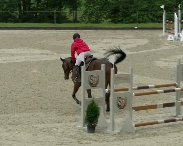 Reitturnier Maienfeld 2022