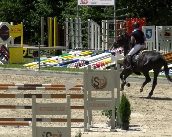 Reitturnier Maienfeld 2022