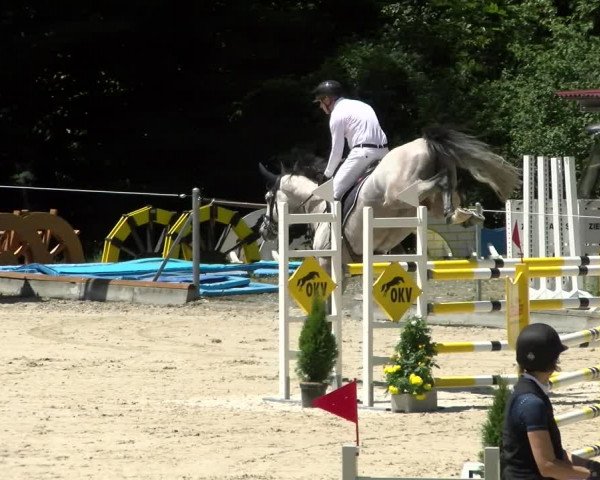 Reitturnier Maienfeld 2022