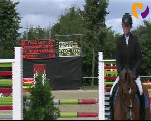 jumper First Lady (Westphalian, 2008, from ECL-Follow Me)