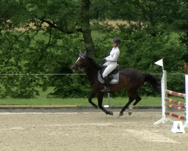 Reitturnier Maienfeld 2022