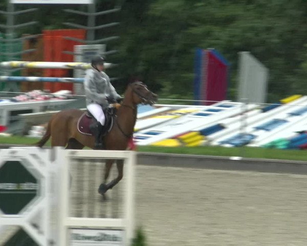 Reitturnier Maienfeld 2022