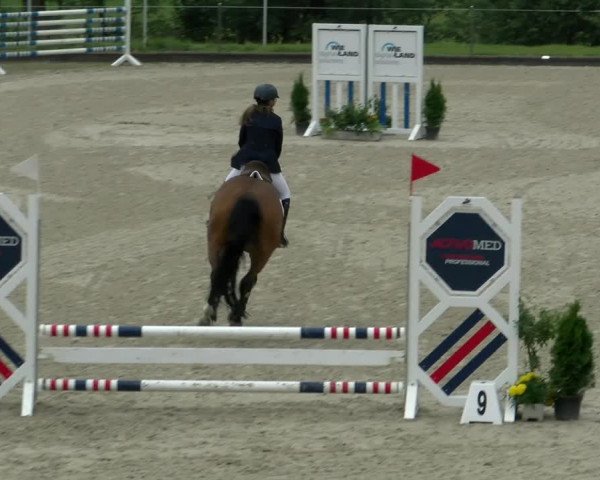 Reitturnier Maienfeld 2022