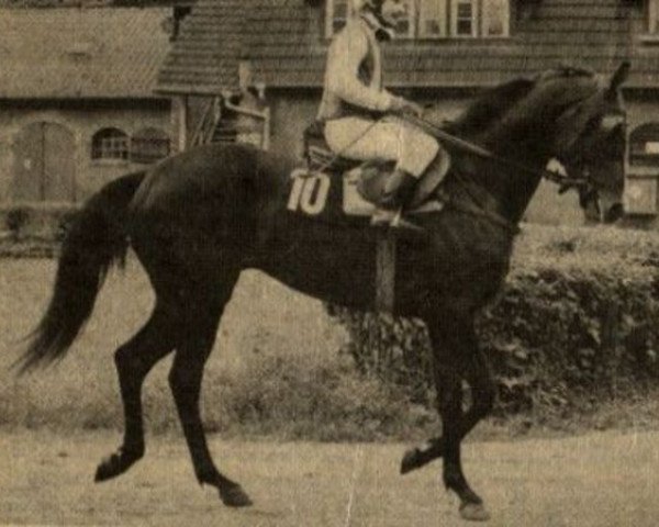 stallion Godavari xx (Thoroughbred, 1982, from Parole Board xx)