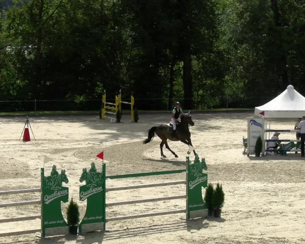 Reitturnier Maienfeld 2022