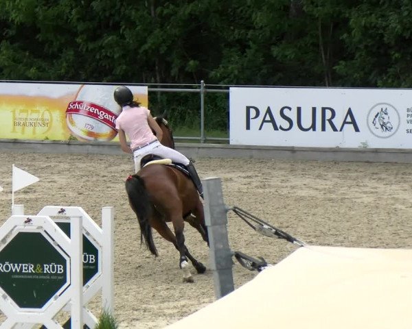 Reitturnier Maienfeld 2022