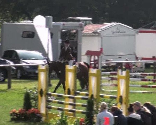 jumper Chacco-Campari (Oldenburg, 2007, from Chacco-Blue)