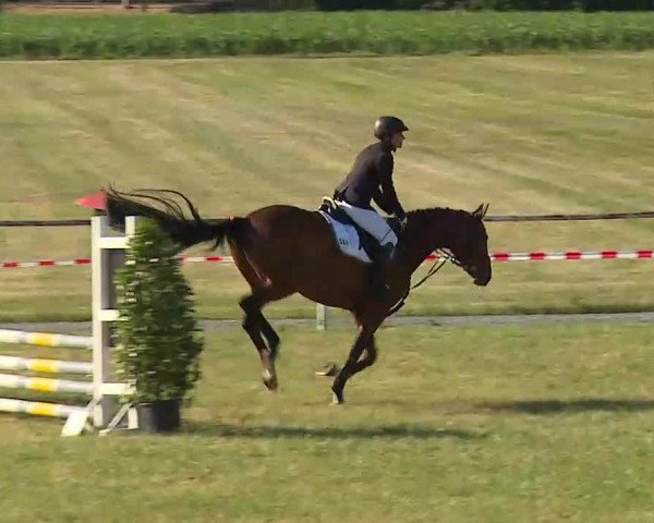 Reitturnier Bad Windsheim/Mfr. 2022