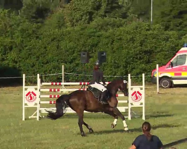 Reitturnier Bad Windsheim/Mfr. 2022