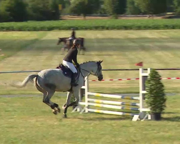 Reitturnier Bad Windsheim/Mfr. 2022
