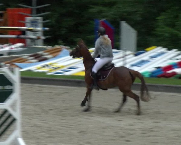Reitturnier Maienfeld 2022