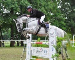 Springpferd Catalao (Westfale, 2004, von Cornet Obolensky)