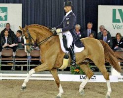 dressage horse Amüsant OLD (Oldenburg, 1998, from Alabaster)