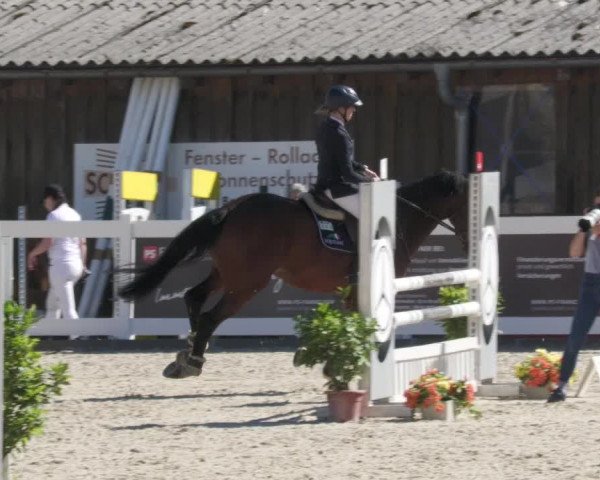 Reitturnier Memmingen/Schw. 2022