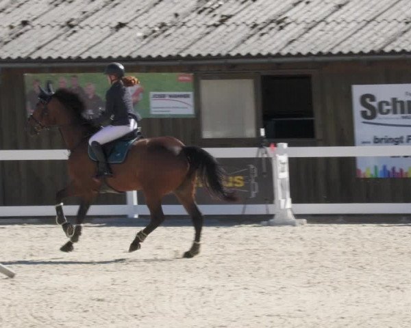 Reitturnier Memmingen/Schw. 2022