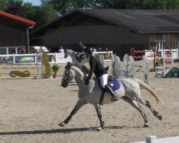 Reitturnier Memmingen/Schw. 2022