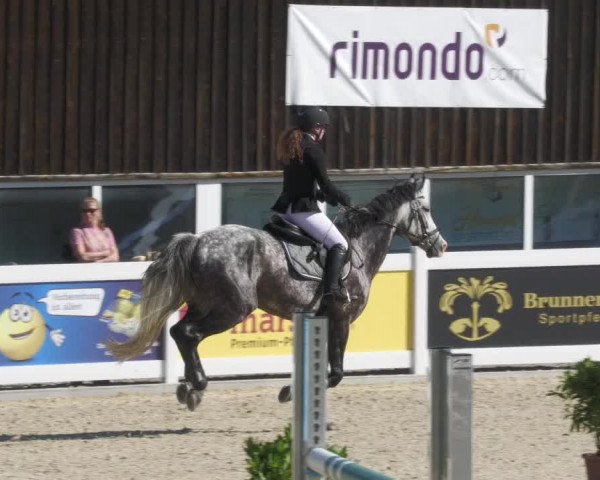Reitturnier Memmingen/Schw. 2022