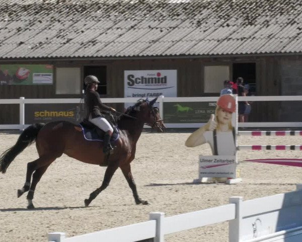 Reitturnier Memmingen/Schw. 2022