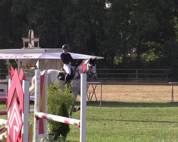 Reitturnier Schillerslage 2022