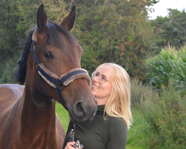 dressage horse Louis D'aragon (KWPN (Royal Dutch Sporthorse), 2016, from Douglas)