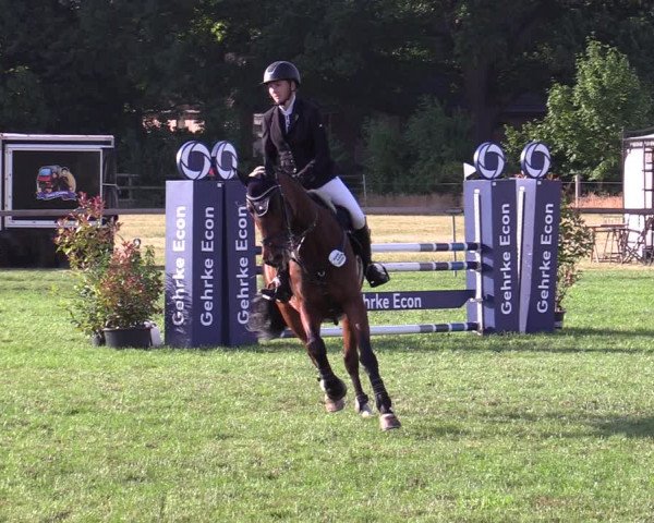 Reitturnier Schillerslage 2022