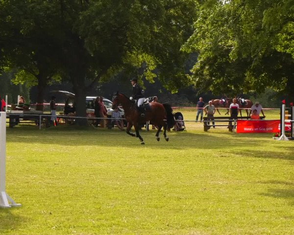 Reitturnier Schwittersdorf-Beesenstedt 2022