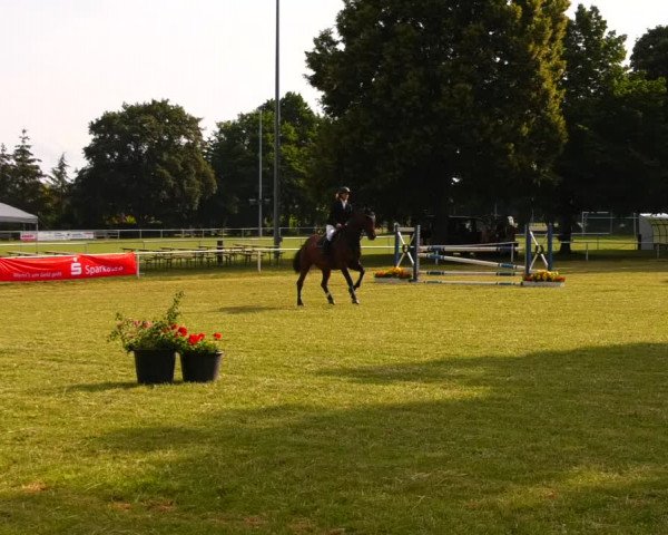 Reitturnier Schwittersdorf-Beesenstedt 2022