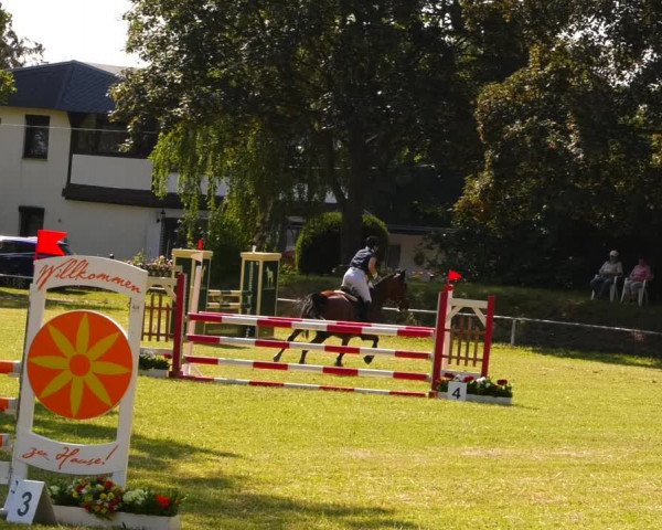 Reitturnier Schwittersdorf-Beesenstedt 2022