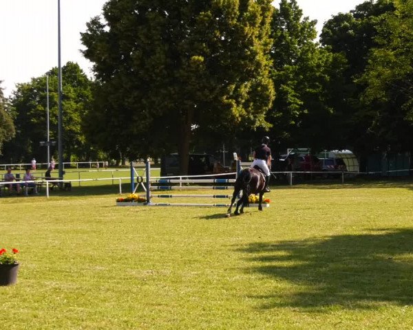Reitturnier Schwittersdorf-Beesenstedt 2022