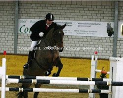 broodmare Rhuna (Hanoverian, 2001, from Ravallo 115 FIN)