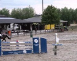 Jumper Annabell 321 (Westphalian, 1997, from Azur de Paulstra)